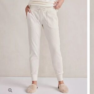 Haven Well Within Velour Ribbed Joggers